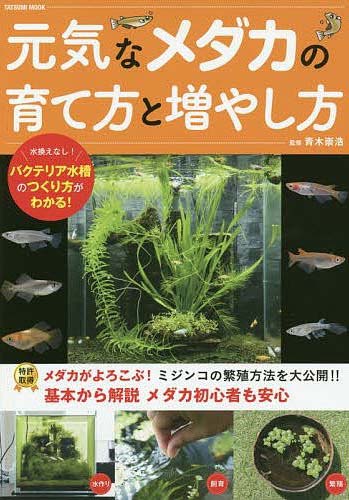 元気なメダカの育て方と増やし方